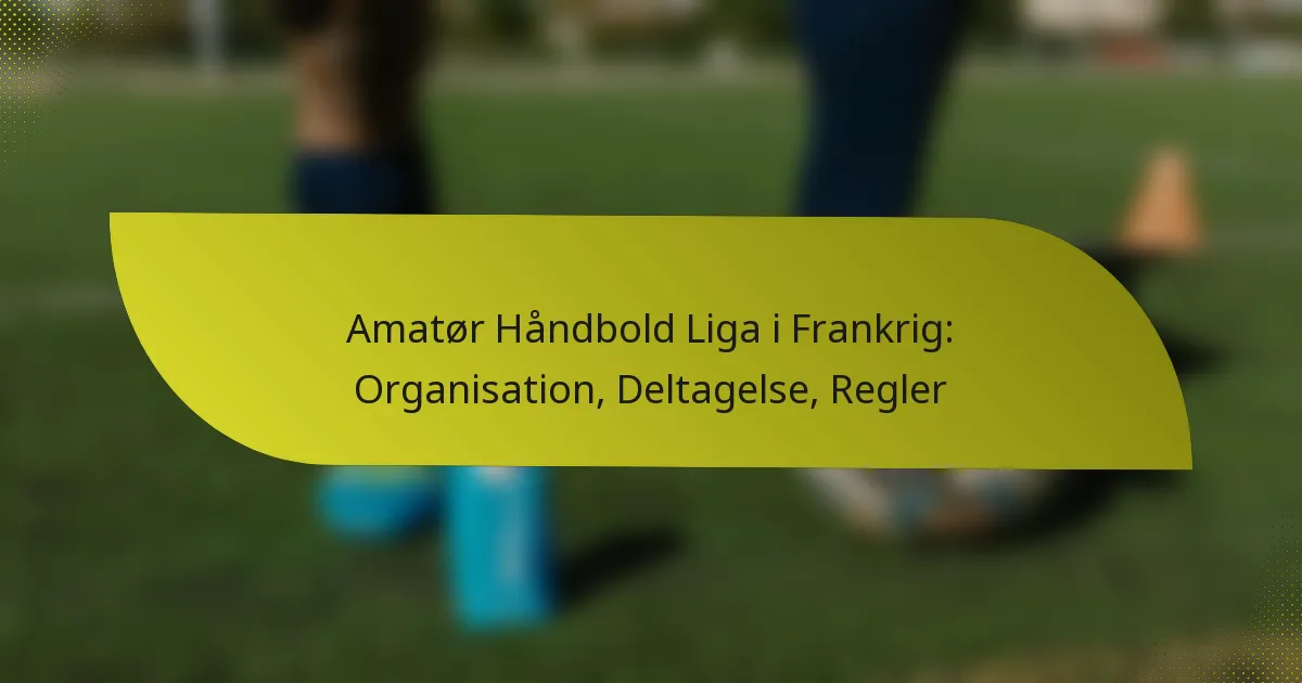 Amatør Håndbold Liga i Frankrig: Organisation, Deltagelse, Regler