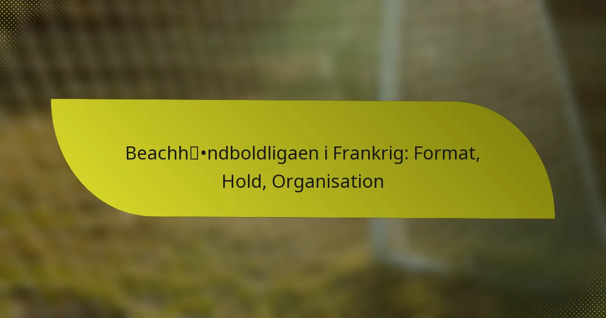 Beachhåndboldligaen i Frankrig: Format, Hold, Organisation