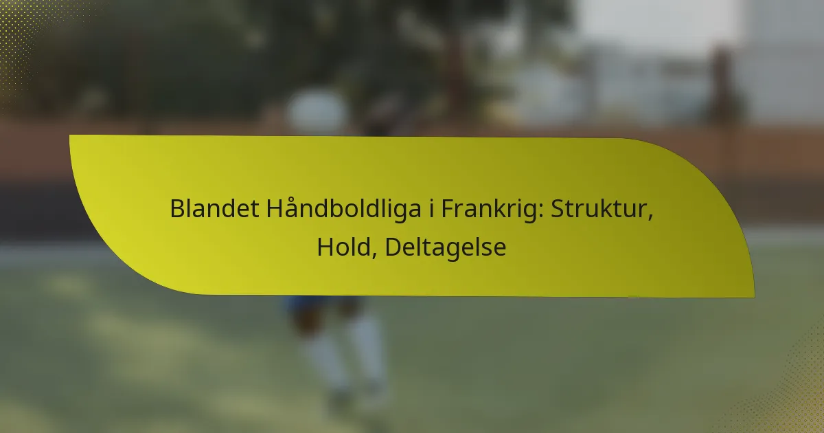 Blandet Håndboldliga i Frankrig: Struktur, Hold, Deltagelse