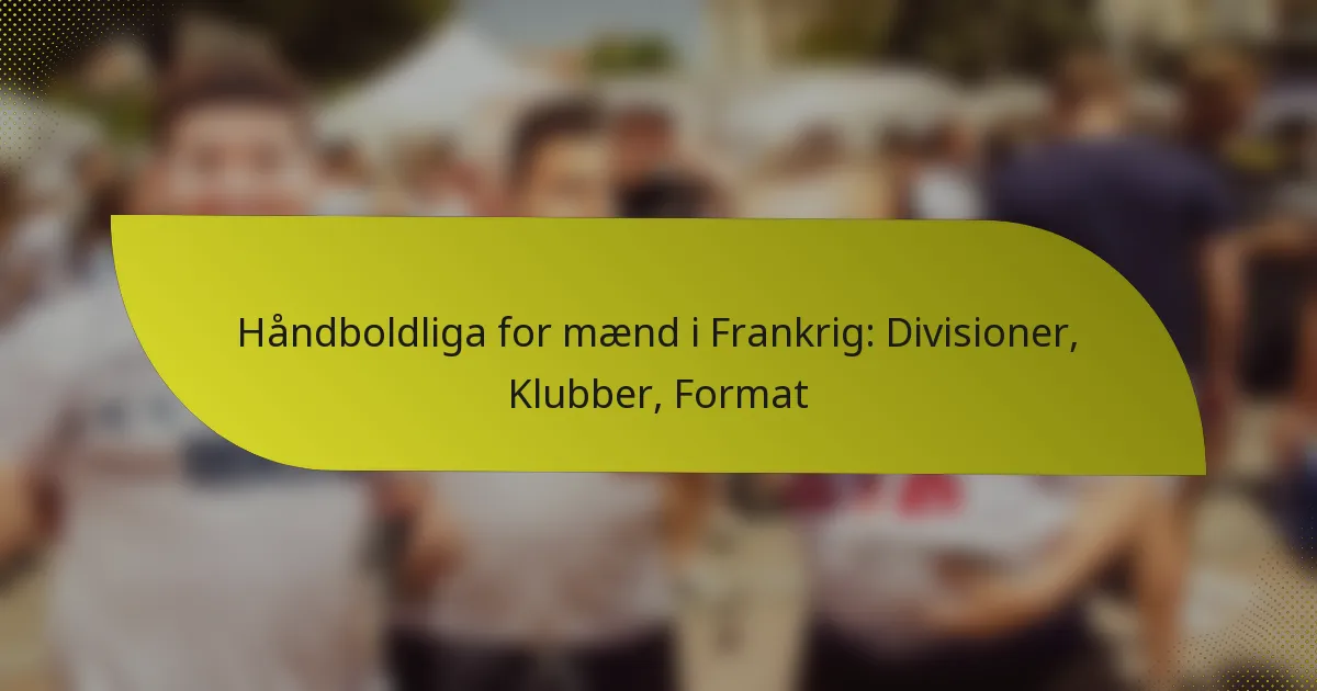 Håndboldliga for mænd i Frankrig: Divisioner, Klubber, Format