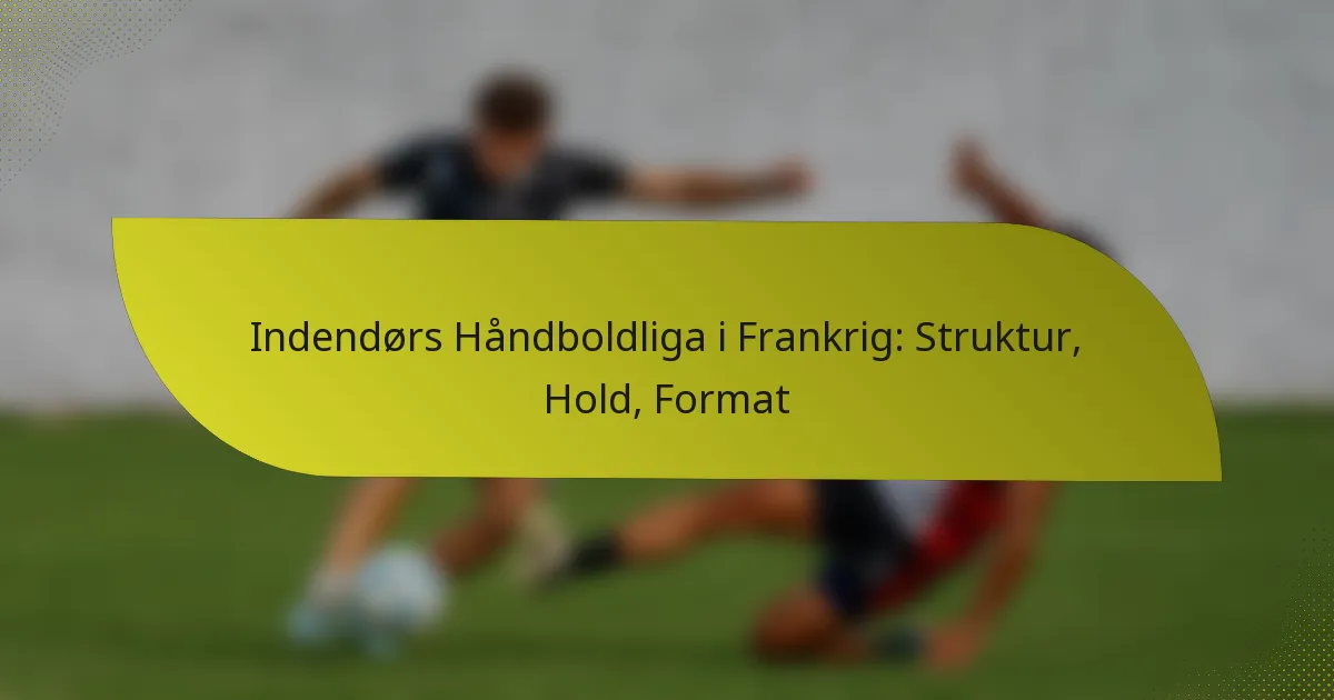 Indendørs Håndboldliga i Frankrig: Struktur, Hold, Format