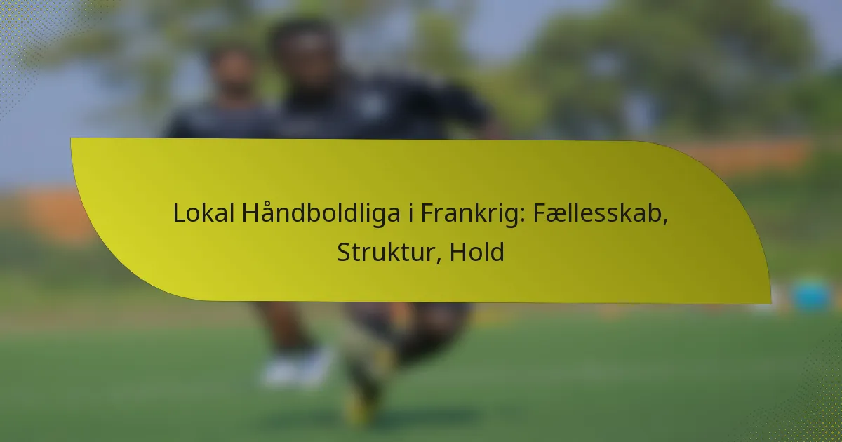 Lokal Håndboldliga i Frankrig: Fællesskab, Struktur, Hold