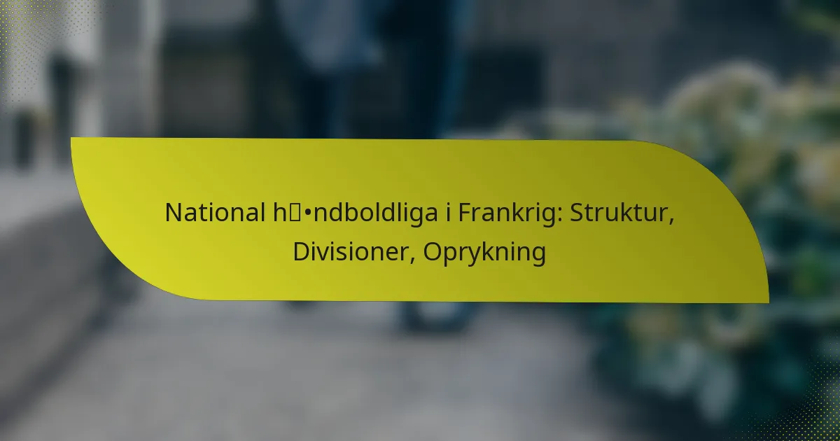National håndboldliga i Frankrig: Struktur, Divisioner, Oprykning