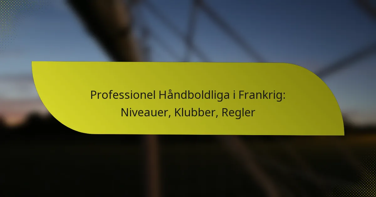 Professionel Håndboldliga i Frankrig: Niveauer, Klubber, Regler