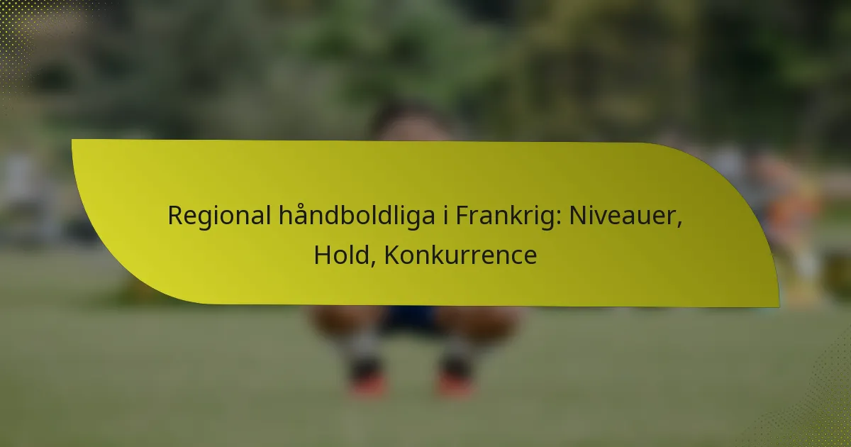 Regional håndboldliga i Frankrig: Niveauer, Hold, Konkurrence