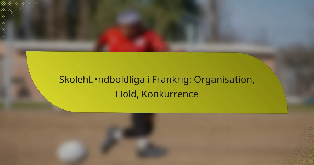 Skolehåndboldliga i Frankrig: Organisation, Hold, Konkurrence