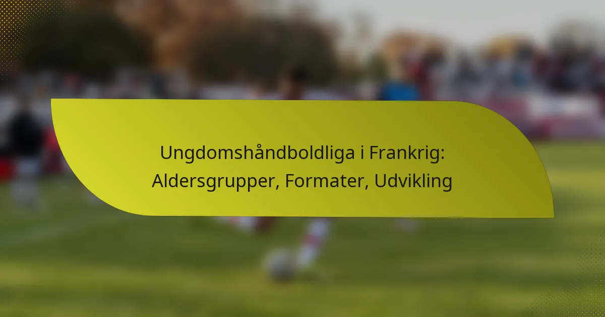 Ungdomshåndboldliga i Frankrig: Aldersgrupper, Formater, Udvikling