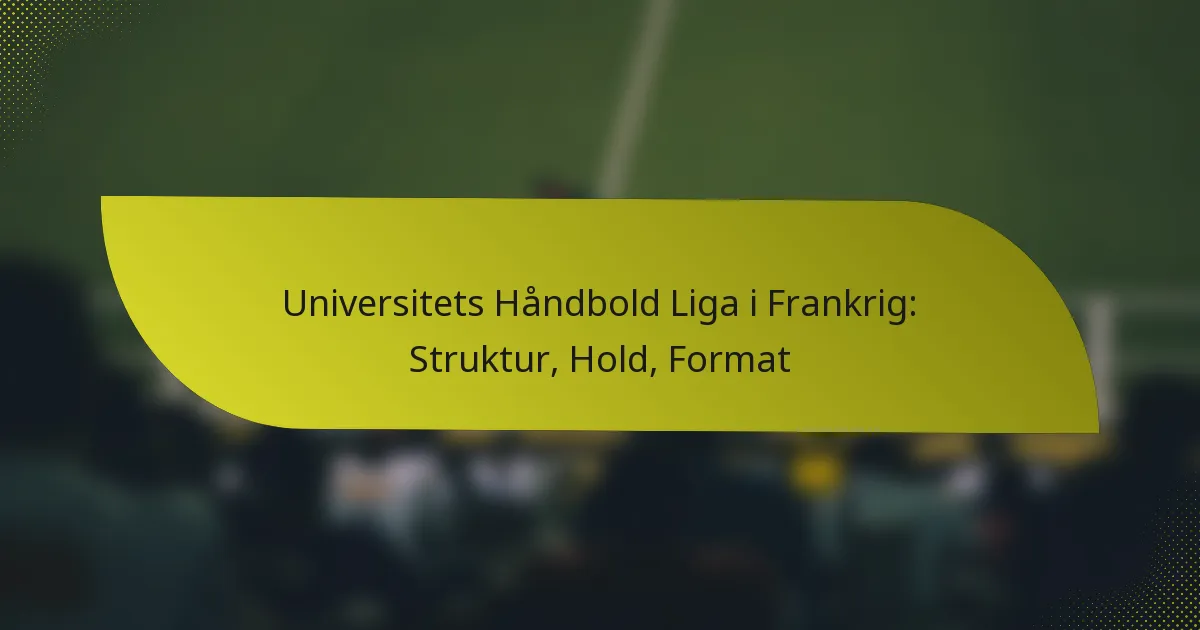 Universitets Håndbold Liga i Frankrig: Struktur, Hold, Format