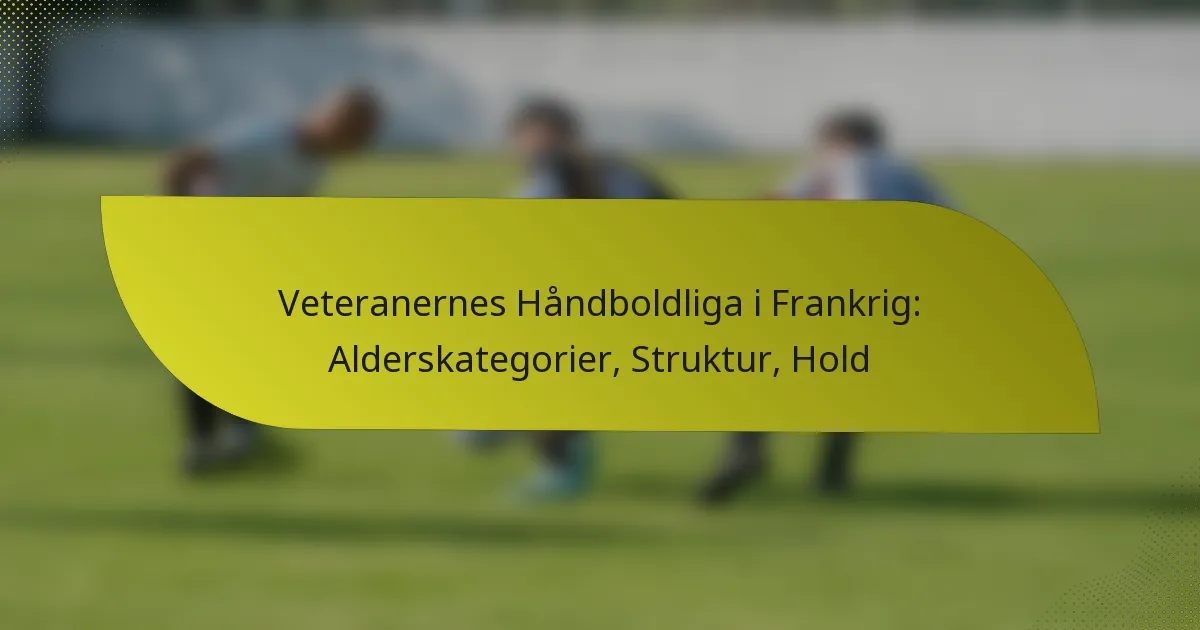 Veteranernes Håndboldliga i Frankrig: Alderskategorier, Struktur, Hold
