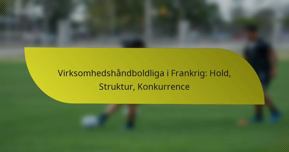 Virksomhedshåndboldliga i Frankrig: Hold, Struktur, Konkurrence