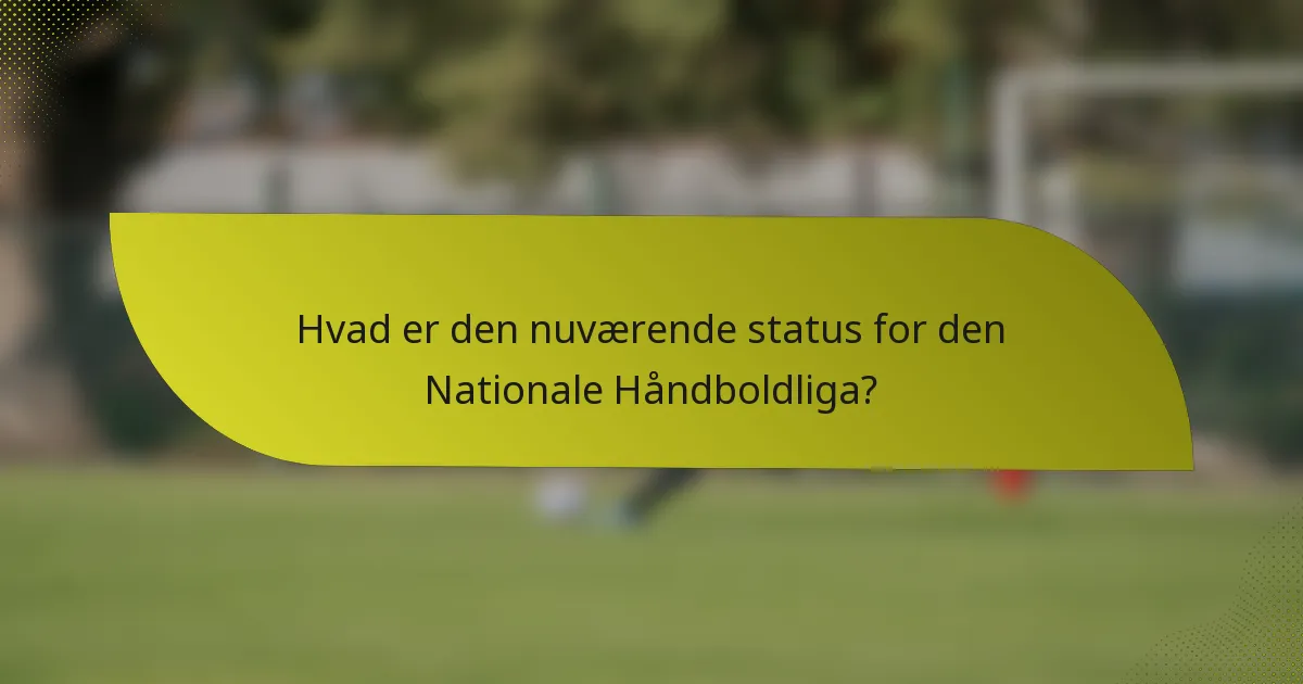 Hvad er den nuværende status for den Nationale Håndboldliga?