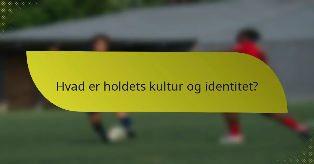 Hvad er holdets kultur og identitet?