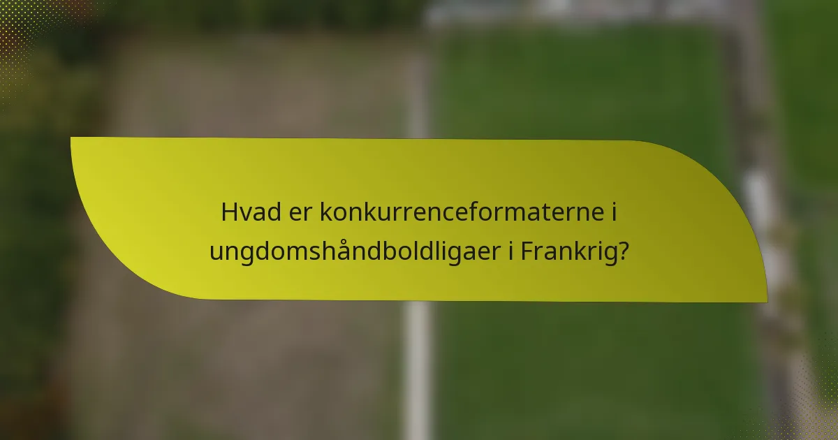 Hvad er konkurrenceformaterne i ungdomshåndboldligaer i Frankrig?
