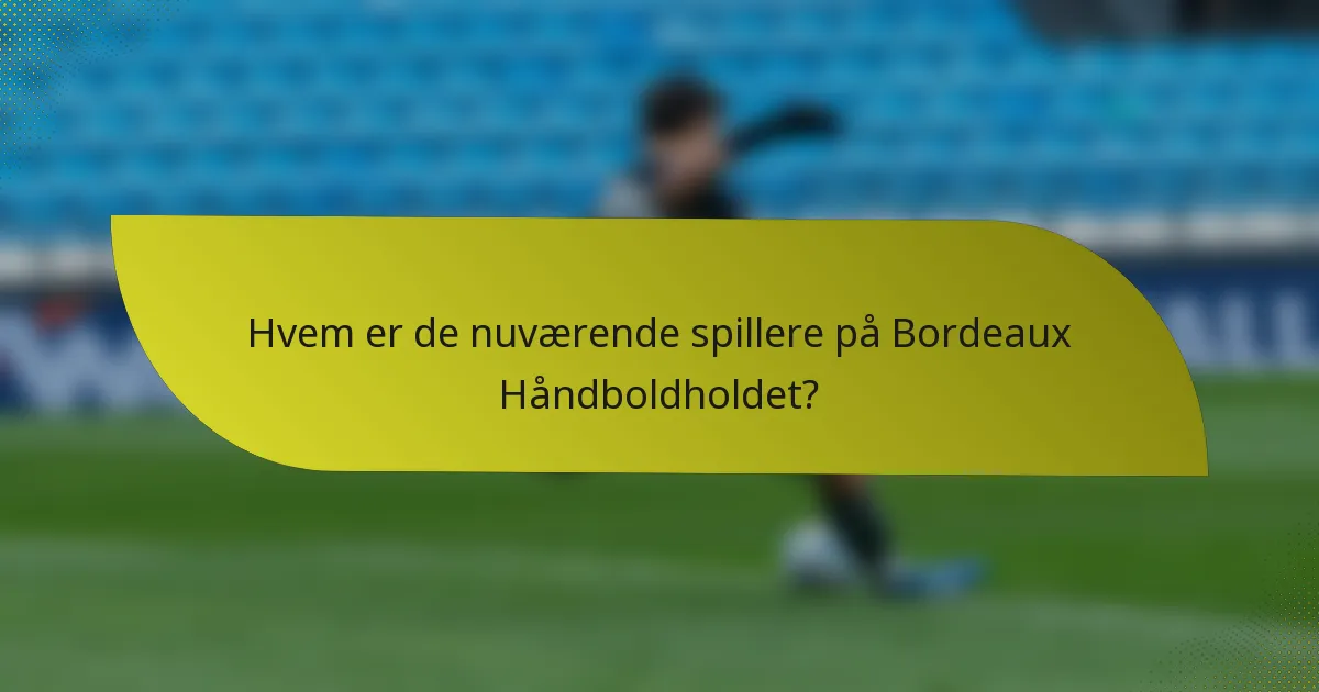 Hvem er de nuværende spillere på Bordeaux Håndboldholdet?