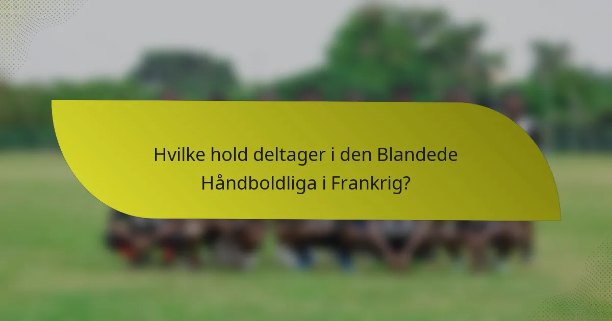 Hvilke hold deltager i den Blandede Håndboldliga i Frankrig?