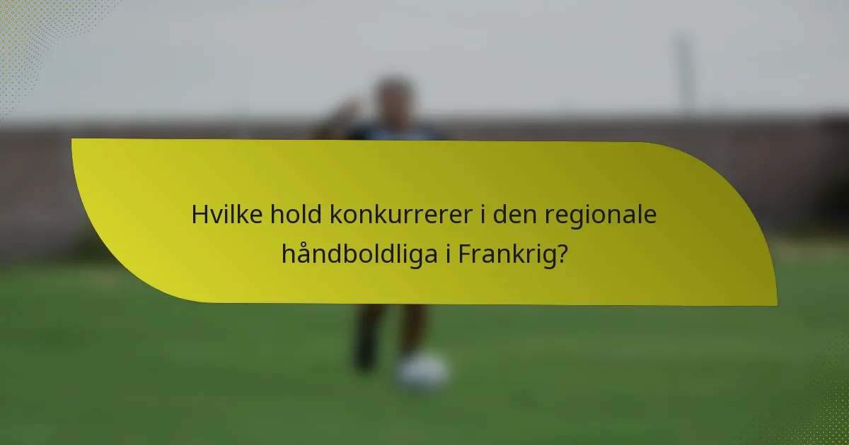 Hvilke hold konkurrerer i den regionale håndboldliga i Frankrig?
