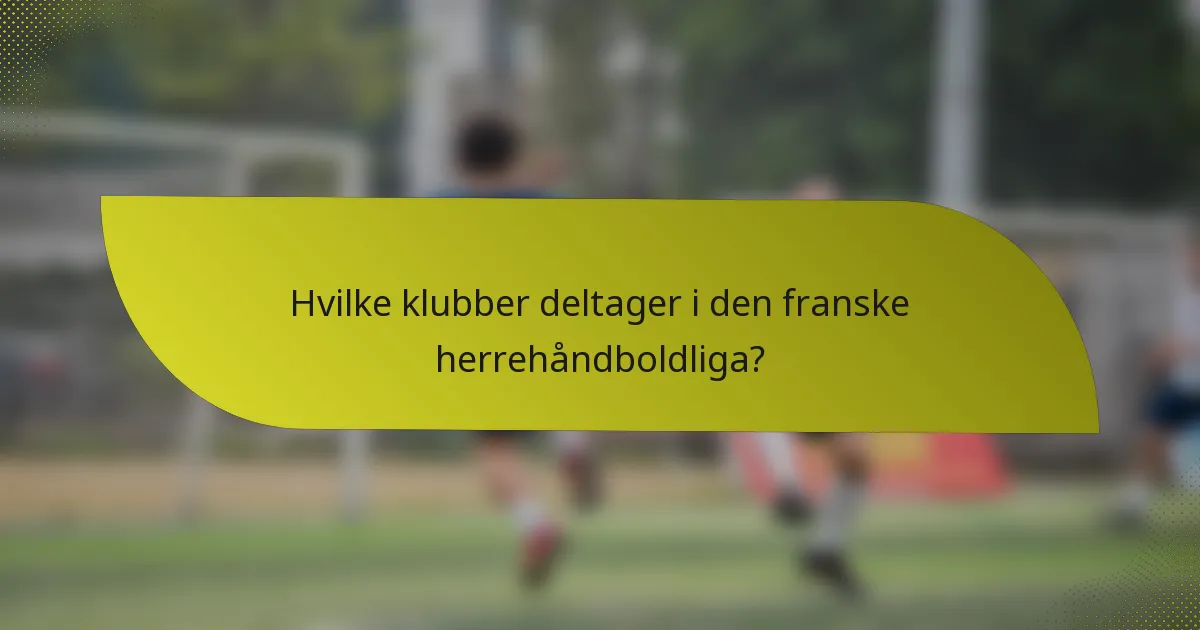 Hvilke klubber deltager i den franske herrehåndboldliga?