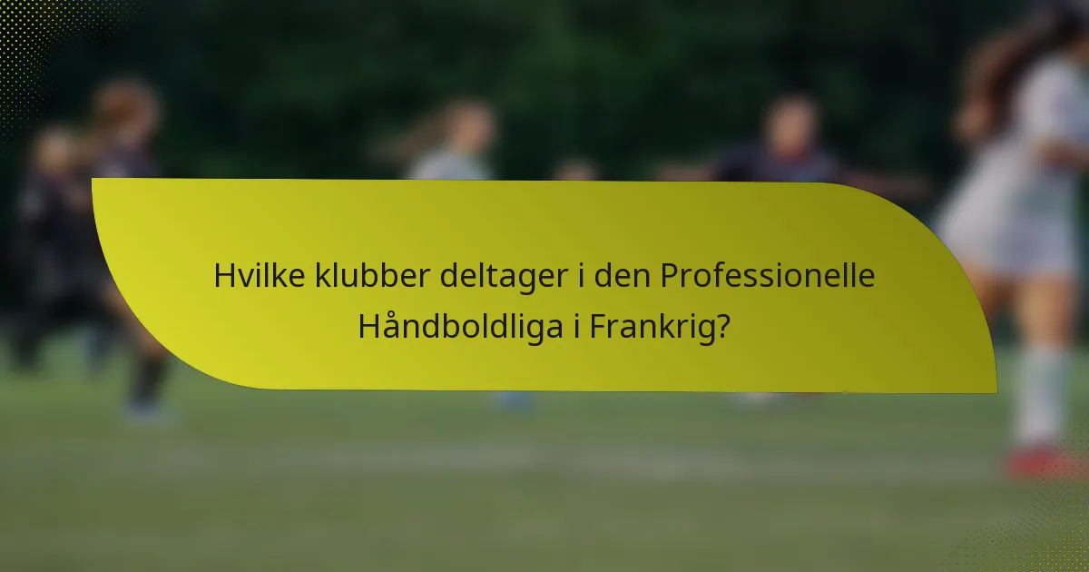 Hvilke klubber deltager i den Professionelle Håndboldliga i Frankrig?