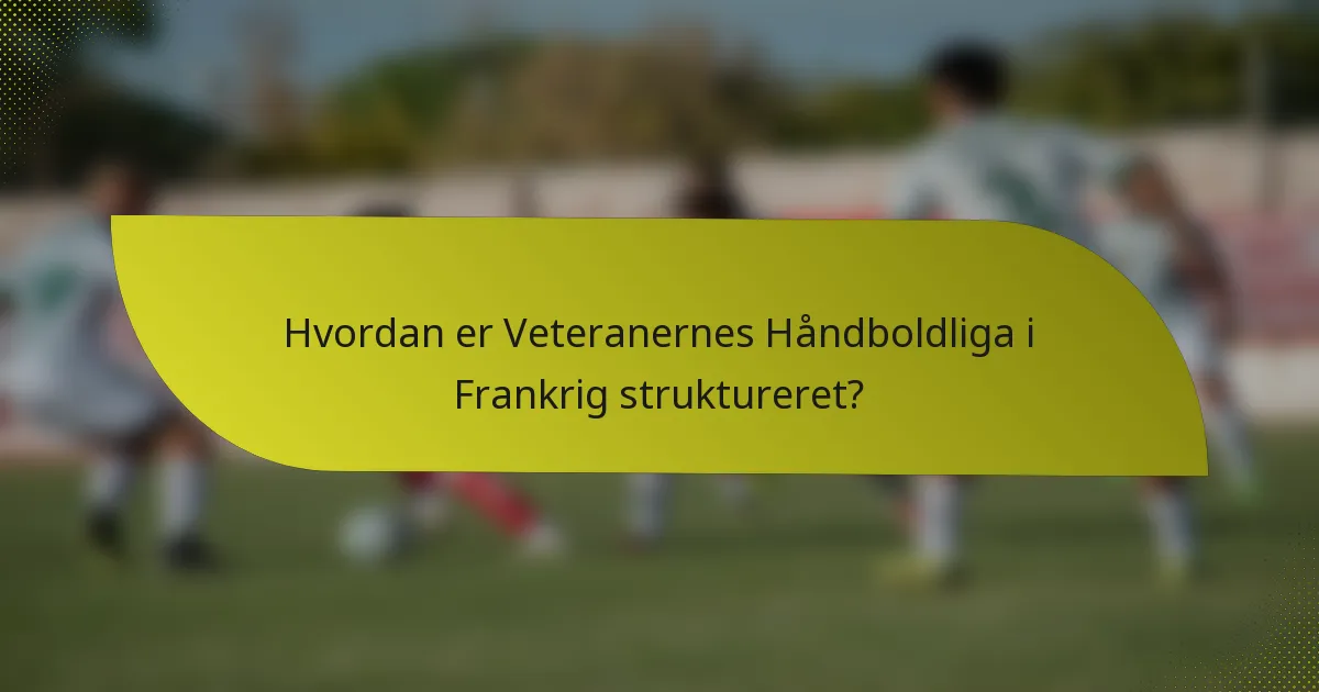 Hvordan er Veteranernes Håndboldliga i Frankrig struktureret?