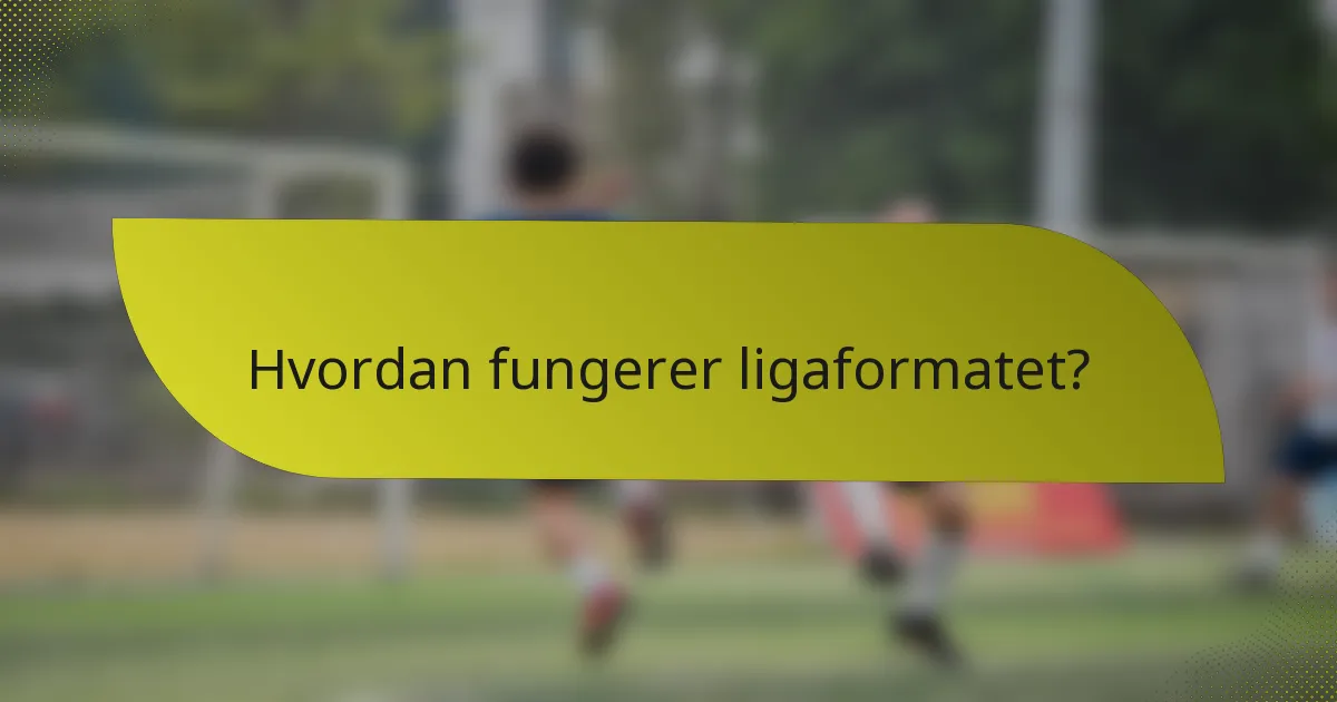 Hvordan fungerer ligaformatet?
