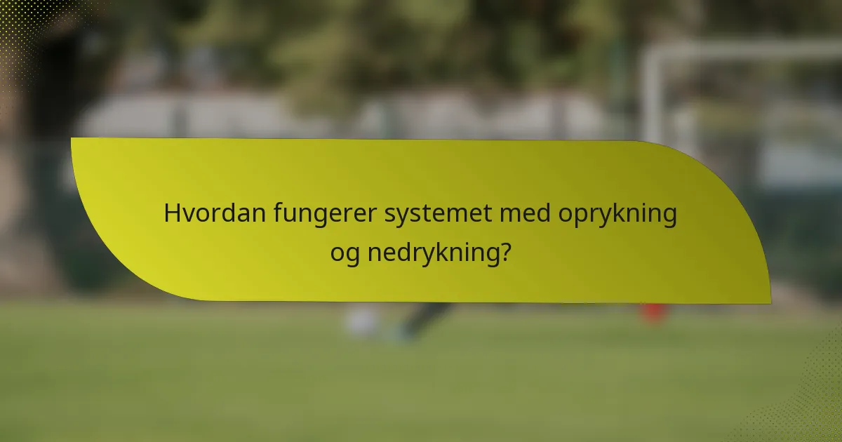 Hvordan fungerer systemet med oprykning og nedrykning?